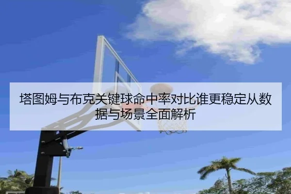塔图姆与布克关键球命中率对比谁更稳定从数据与场景全面解析